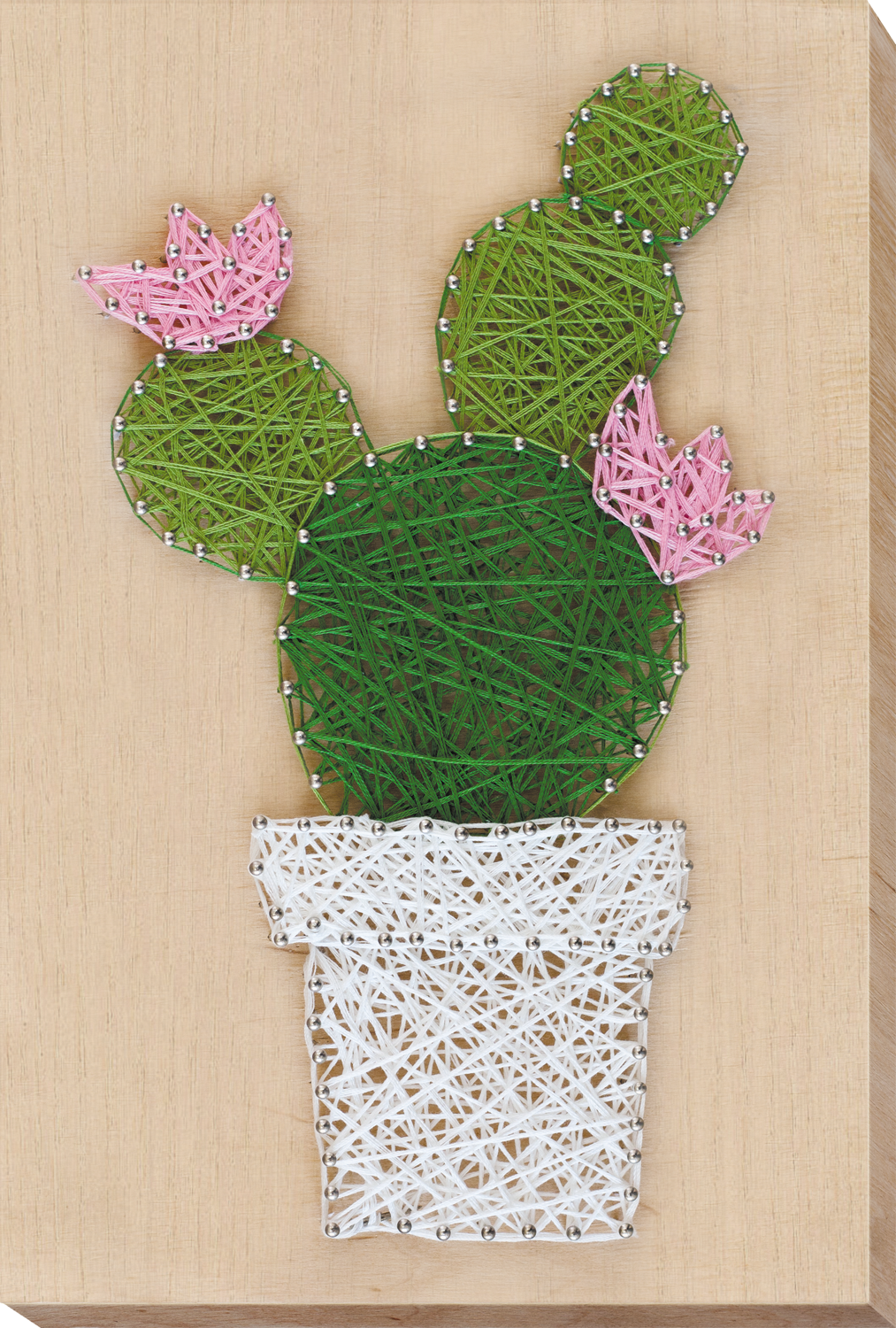 String art kit Cactus flower Size: 7.5"×11.4" (19x29 cm)