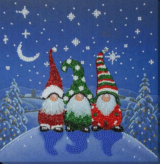 Bead embroidery kit Gnomes Size: 7.9"×7.9" (20×20 cm)
